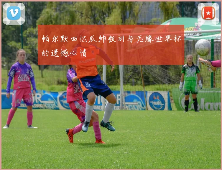 帕尔默回忆瓜帅教训与无缘世界杯的遗憾心情