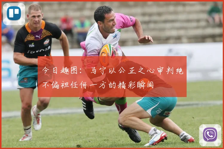 今日趣图：马宁以公正之心审判绝不偏袒任何一方的精彩瞬间